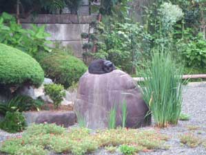 ��������΁@�΂ɂȂ��́H