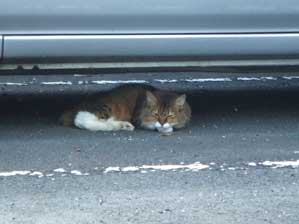 �����j���`