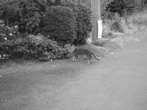 �y�����`