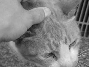 ���������`