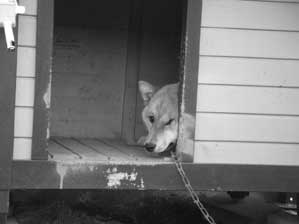 �܂��@������`��