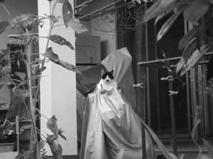 ���͂悤�Ł@������B�B�B