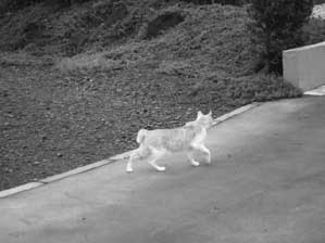 �킩��`�@�����ė������񂾂���B�B�B