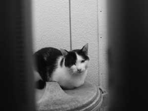 ���Ă��܂���`��B�B�B