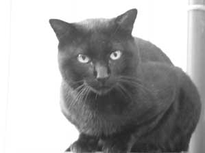 �ǂ��܂Ł@�Y�[���ŎB��邩�ȁH