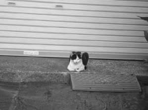 ���������I