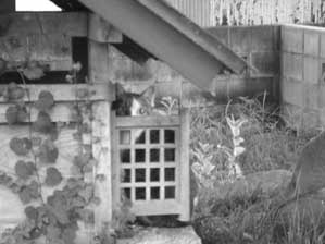 ���́A�_�l�Ł`����`