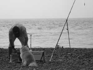 �����A��Ȃ����ȁ`