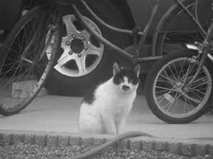 �����������@�������Ȃ����痷�ɏo�悤���ȁ`���Ďv���Ă���܂�