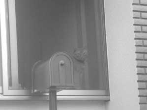 ���͂����@���Ȃ������Ă����̂�