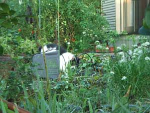 ���`���́@�~�`����