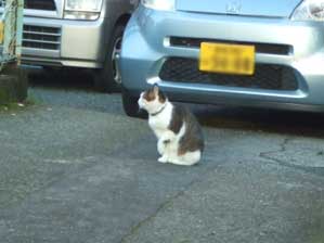 ���I�@�������[�[�[