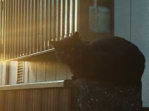 �t���ł��@������ǂ���ˁ`