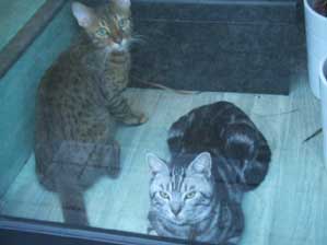 �B�����`��