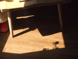 �q�Q���₶�B�B�B�Ƃ��ȁ`