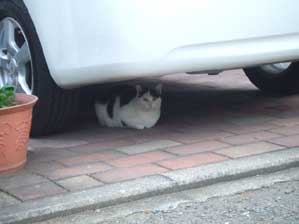 ki ga tu ka na i to o mo tta no ni...