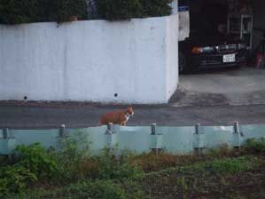 �l������`