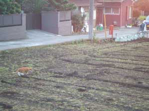 ���`���Ɓ@���`����