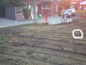 ���������Ł@�߂܂�����`