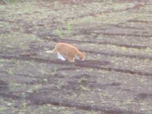 ����������Ƃ������̂ɂȁ`�@����������@�����@����