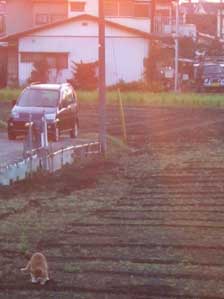 ���߂ā@���߂�