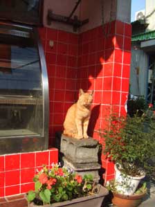 ���`���Ɓ@���`����