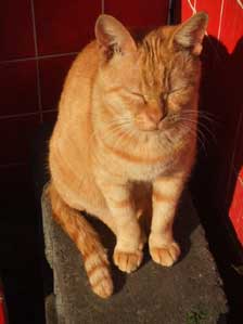 ���`���Ɓ@���`����