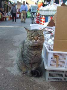 ������Ɓ@�ْ��I