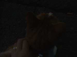 ���͂́I�@�߂܂��������