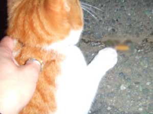 ��������`��B�B