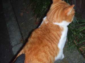 �V��Ł`�`��B�B�B