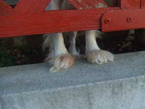 �A�����B