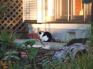 �����B�B�B�B