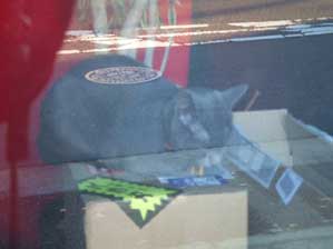 ����ȗ\��