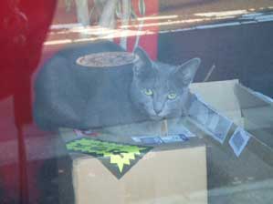 �����Ă�����B