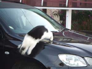 �������Ɓ`