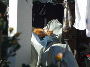 ���v�ԁ`�`��`�`�ˁ`�`��