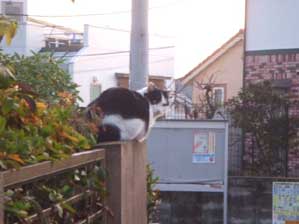 ���͂悤�I�@�q�������͌��C��@�ق�B�B�B