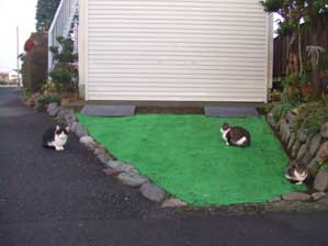 �l�����܂��I