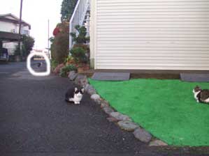 �������Ă��܂����`�`