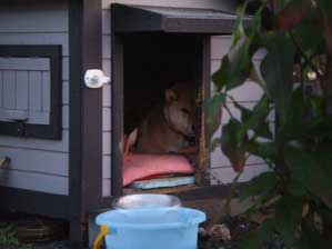 �������@�����I