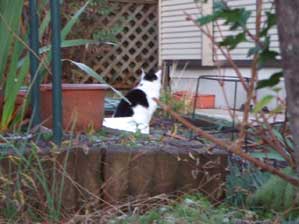 �E�E�E�E�@�@�g�C�����ɌĂԂȁ`