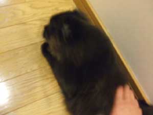 ZZZZZZZ��������