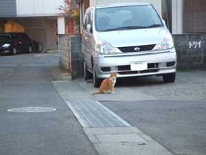 �Ă΂ꂽ�̂Ō�������I