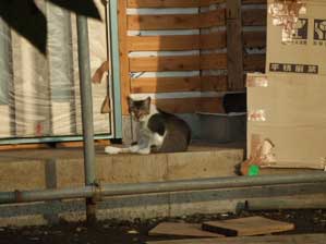 ���s���ˁ`