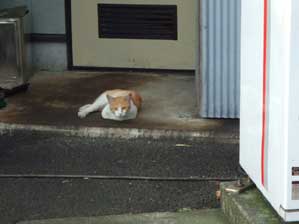 �C����������`