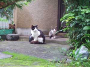 ���x�͂����ƎB���ĂˁI