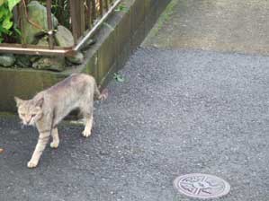 ������I�@������I