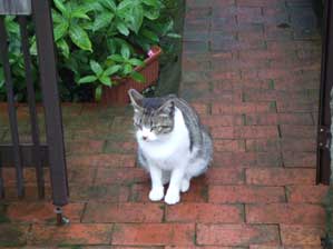 ���邳���ȁ`