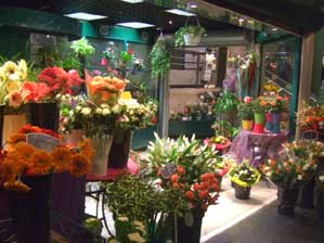 �t�����X�I